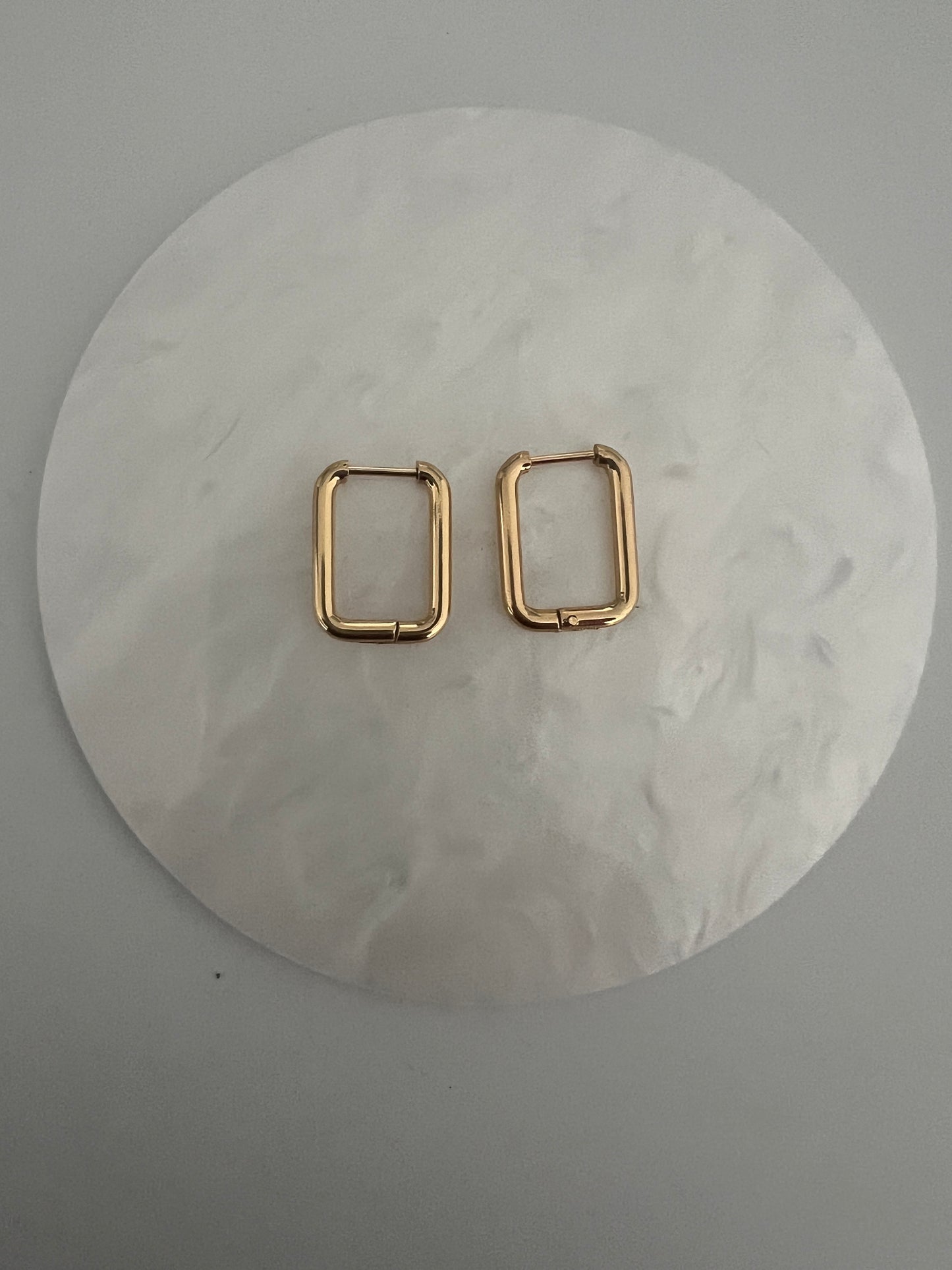 Line hoop Earrings